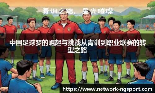 NG体育官网