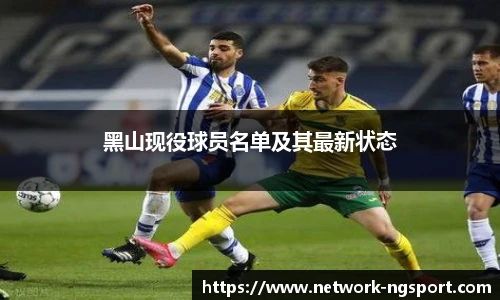 NG体育娱乐