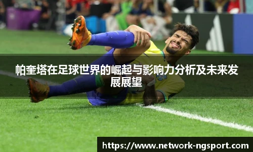 NG体育官网
